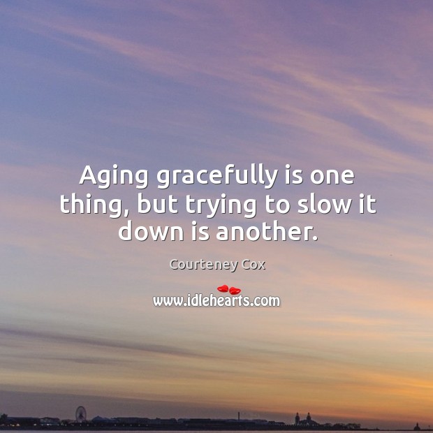 Aging gracefully is one thing, but trying to slow it down is another. Image