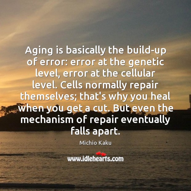 Aging is basically the build-up of error: error at the genetic level, Michio Kaku Picture Quote