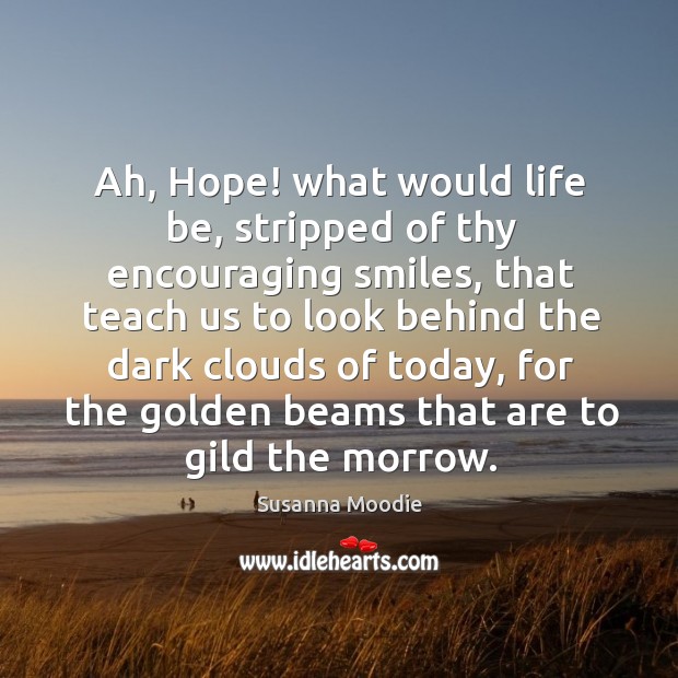 Ah, hope! what would life be, stripped of thy encouraging smiles, that teach us to look behind the Image