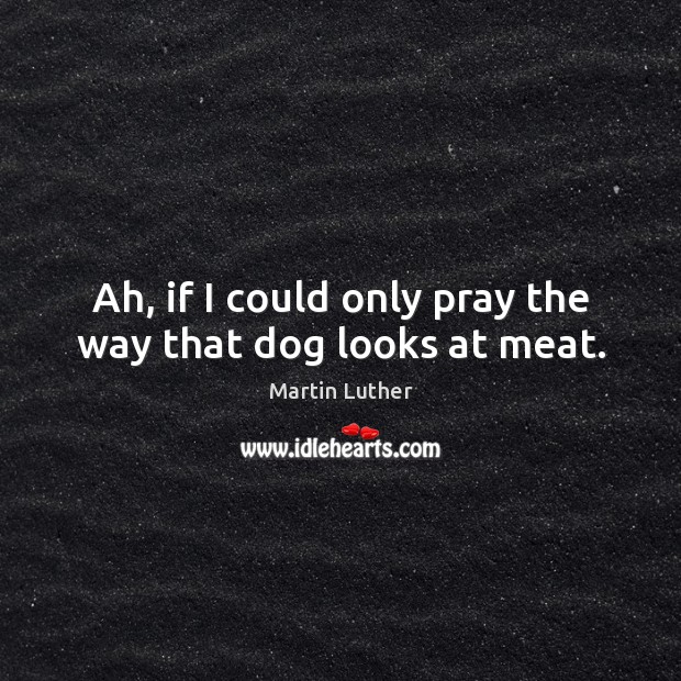 Ah, if I could only pray the way that dog looks at meat. Image