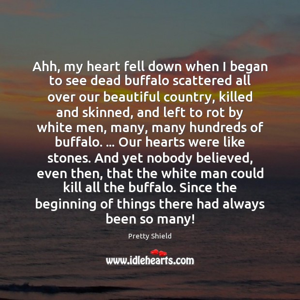 Ahh, my heart fell down when I began to see dead buffalo Image