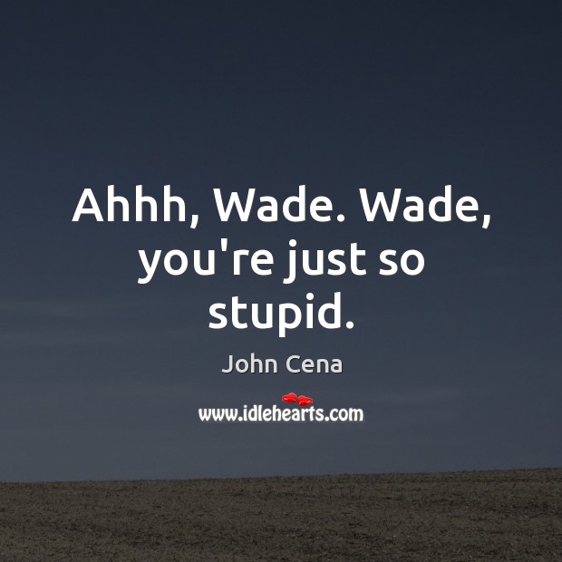 Ahhh, Wade. Wade, you’re just so stupid. John Cena Picture Quote