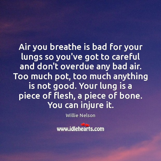 Air you breathe is bad for your lungs so you’ve got to Willie Nelson Picture Quote