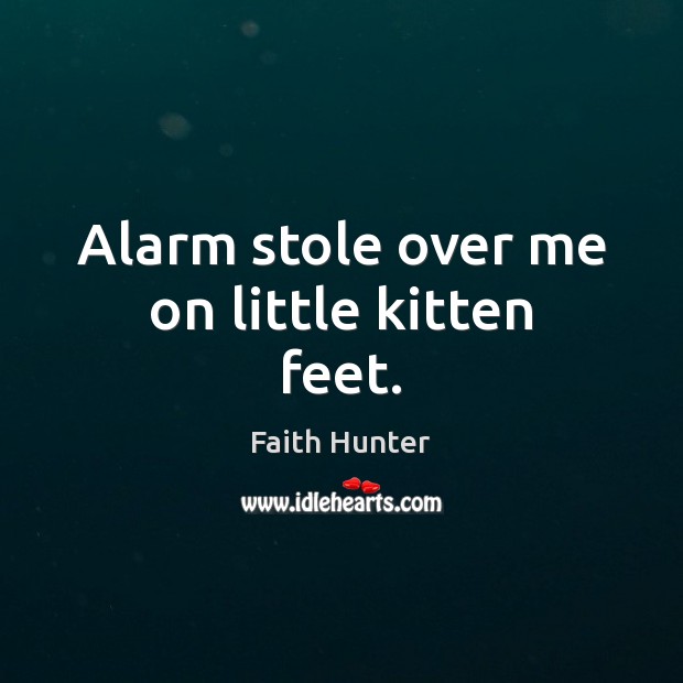 Alarm stole over me on little kitten feet. Faith Hunter Picture Quote