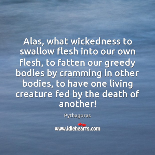 Alas, what wickedness to swallow flesh into our own flesh, to fatten Pythagoras Picture Quote