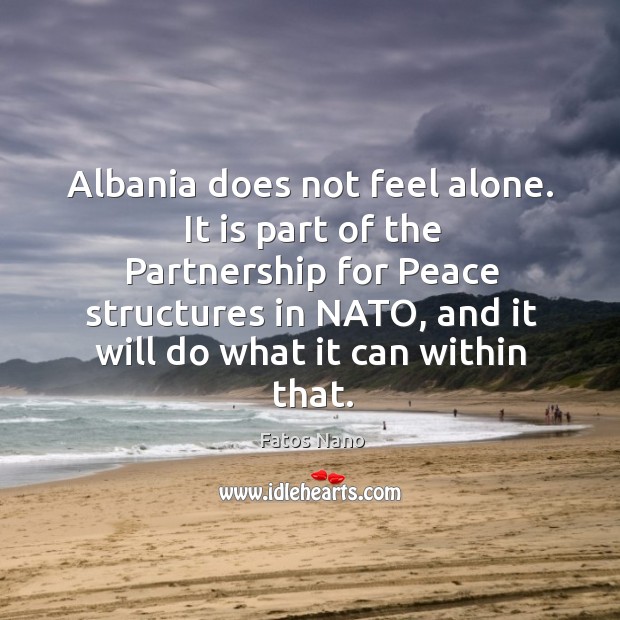 Albania does not feel alone. Fatos Nano Picture Quote