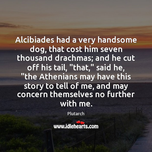 Alcibiades had a very handsome dog, that cost him seven thousand drachmas; 