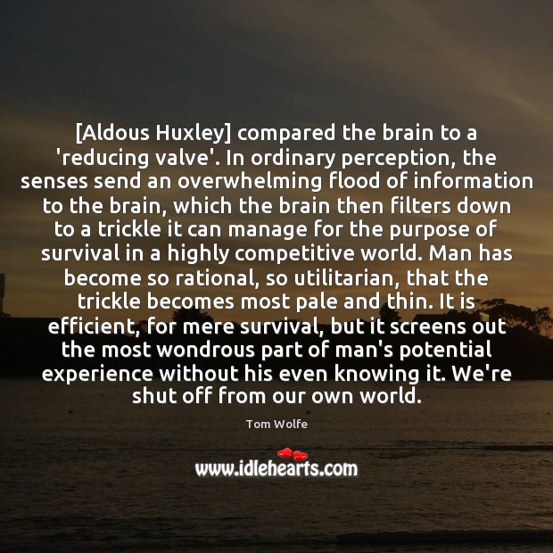 [Aldous Huxley] compared the brain to a ‘reducing valve’. In ordinary perception, Tom Wolfe Picture Quote