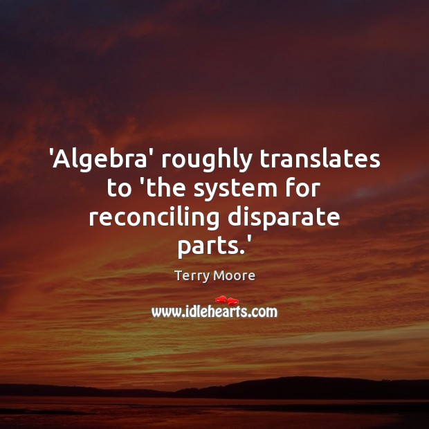 ‘Algebra’ roughly translates to ‘the system for reconciling disparate parts.’ Terry Moore Picture Quote