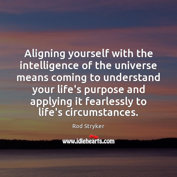 Aligning yourself with the intelligence of the universe means coming to understand Rod Stryker Picture Quote