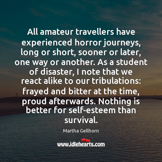 All amateur travellers have experienced horror journeys, long or short, sooner or Martha Gellhorn Picture Quote