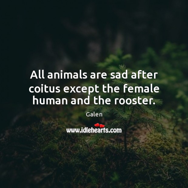All animals are sad after coitus except the female human and the rooster. Image