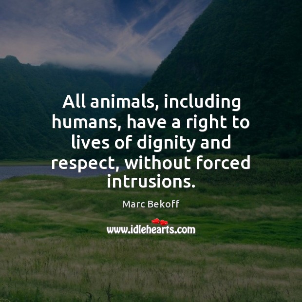 All animals, including humans, have a right to lives of dignity and Image