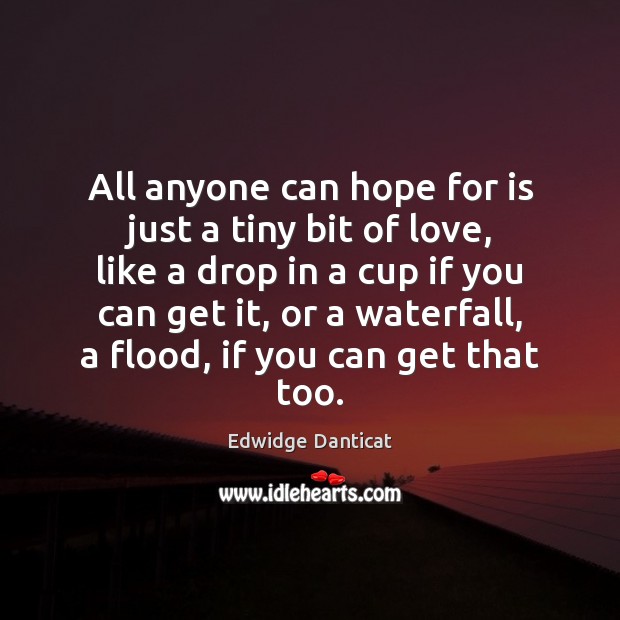 All anyone can hope for is just a tiny bit of love, Edwidge Danticat Picture Quote