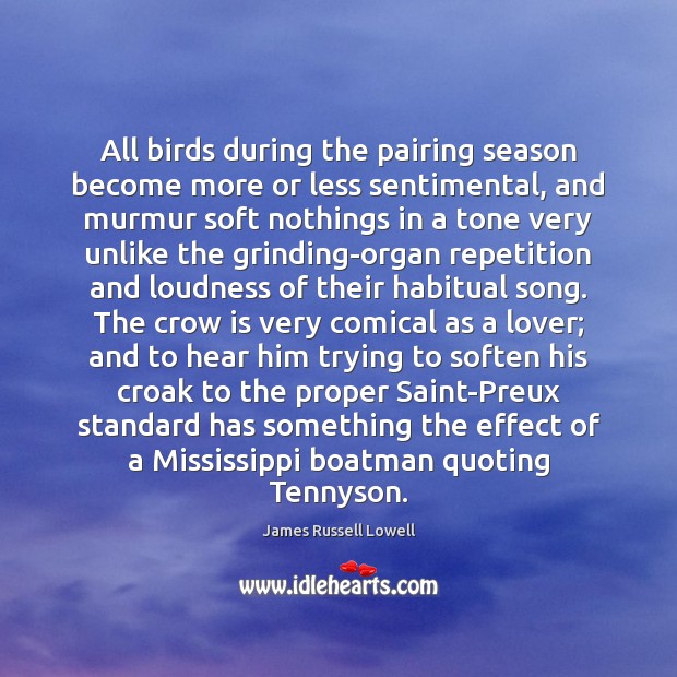 All birds during the pairing season become more or less sentimental, and James Russell Lowell Picture Quote