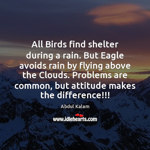 All Birds find shelter during a rain. But Eagle avoids rain by Abdul Kalam Picture Quote