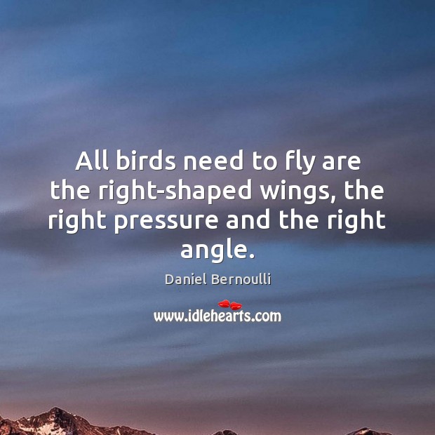 All birds need to fly are the right-shaped wings, the right pressure and the right angle. Image