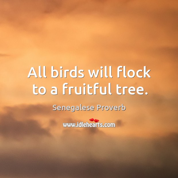 All birds will flock to a fruitful tree. Senegalese Proverbs Image