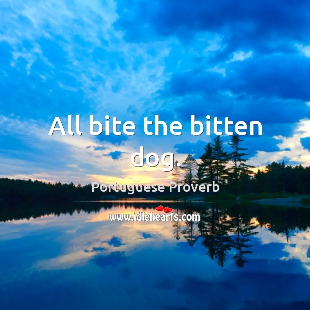 All bite the bitten dog. Portuguese Proverbs Image