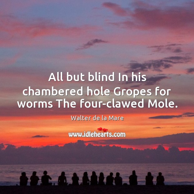 All but blind In his chambered hole Gropes for worms The four-clawed Mole. 
