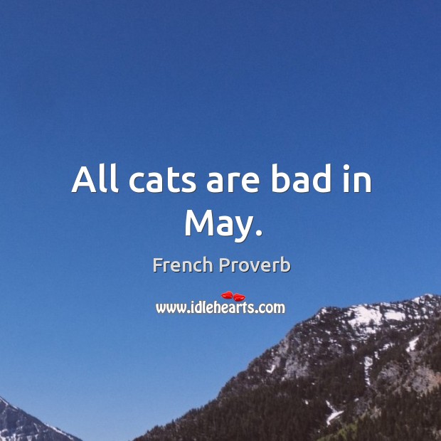 All cats are bad in may. French Proverbs Image