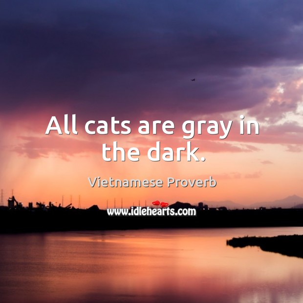 All cats are gray in the dark. Vietnamese Proverbs Image