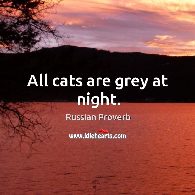 All cats are grey at night. Image