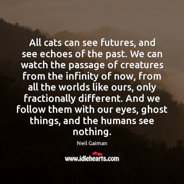 All cats can see futures, and see echoes of the past. We Image
