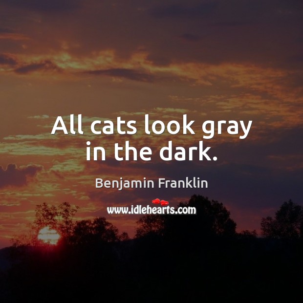 All cats look gray in the dark. Image