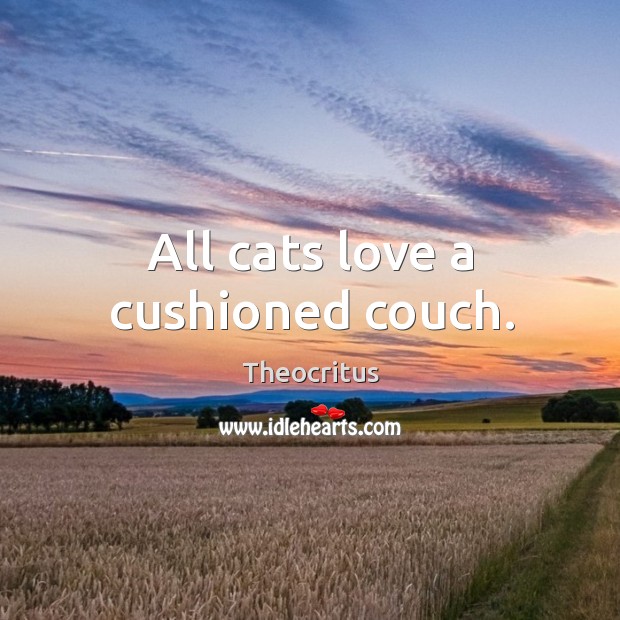 All cats love a cushioned couch. Theocritus Picture Quote