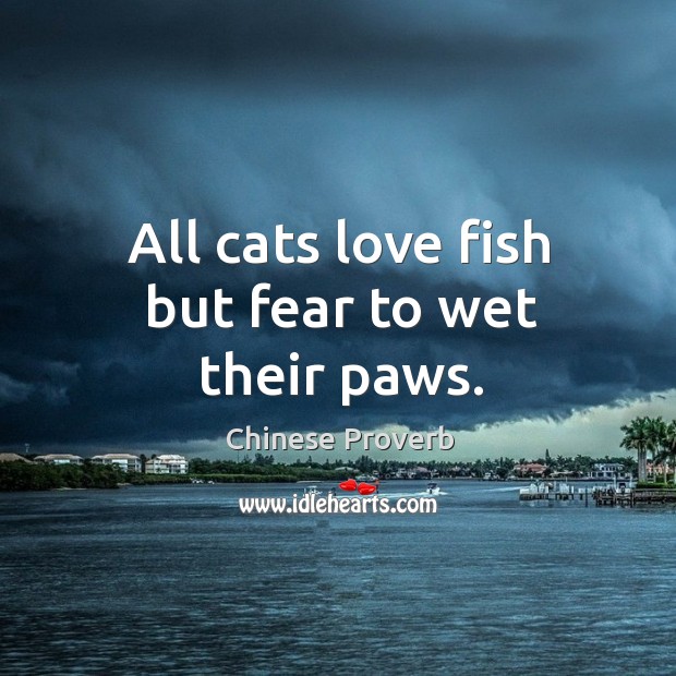 All cats love fish but fear to wet their paws. Chinese Proverbs Image