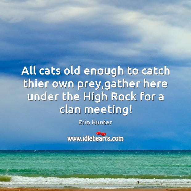 All cats old enough to catch thier own prey,gather here under Erin Hunter Picture Quote