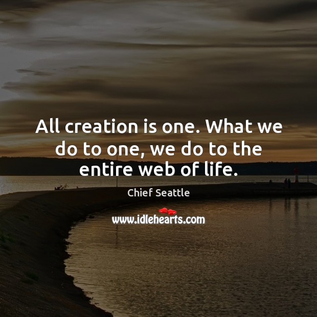All creation is one. What we do to one, we do to the entire web of life. Image