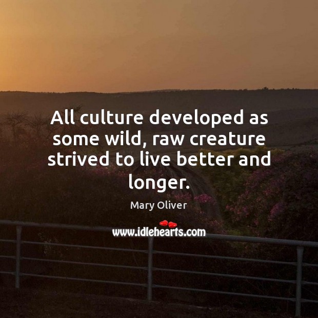 All culture developed as some wild, raw creature strived to live better and longer. Mary Oliver Picture Quote