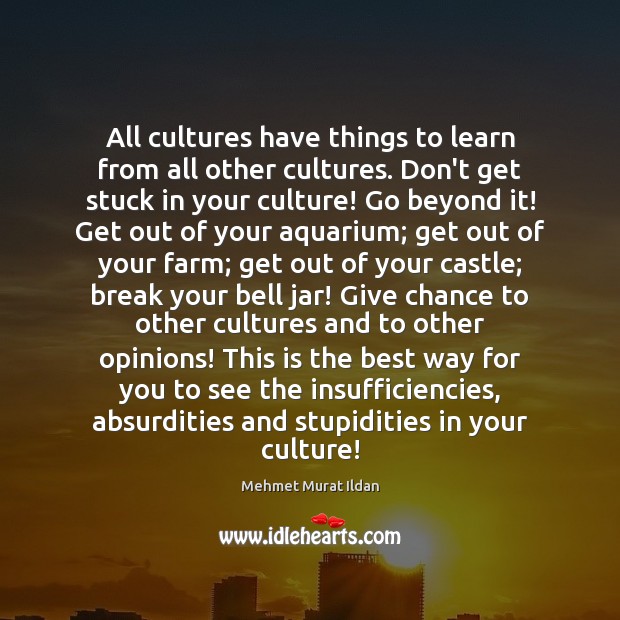 All cultures have things to learn from all other cultures. Don’t get Mehmet Murat Ildan Picture Quote