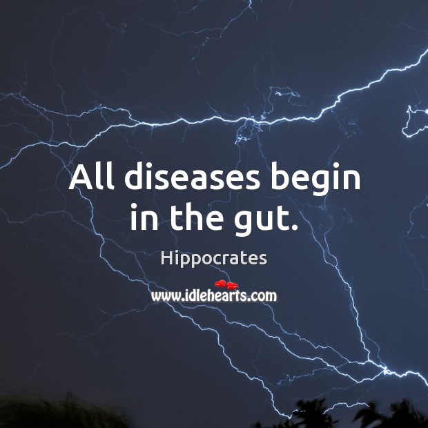 All diseases begin in the gut. Hippocrates Picture Quote