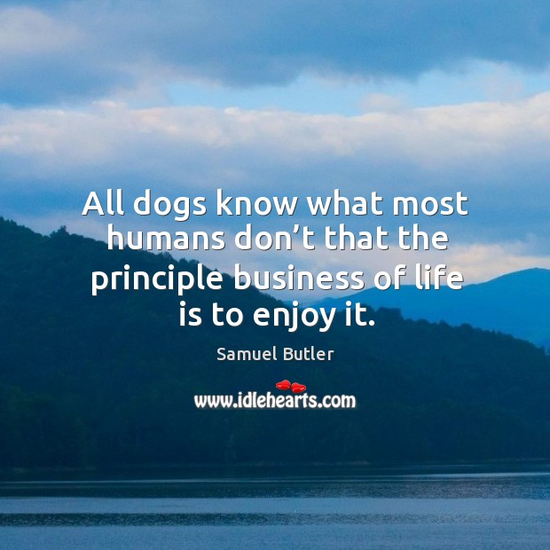 All dogs know what most humans don’t that the principle business of life is to enjoy it. Image