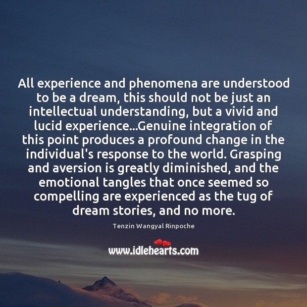 All experience and phenomena are understood to be a dream, this should Tenzin Wangyal Rinpoche Picture Quote