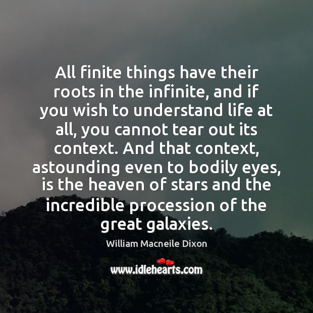 All finite things have their roots in the infinite, and if you 