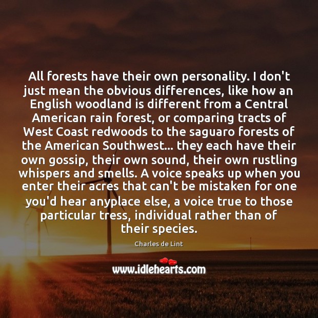 All forests have their own personality. I don’t just mean the obvious Image