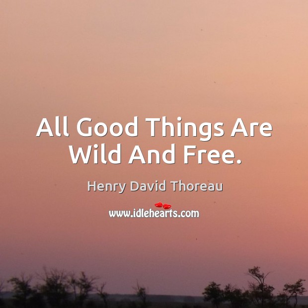 All good things are wild and free. Henry David Thoreau Picture Quote