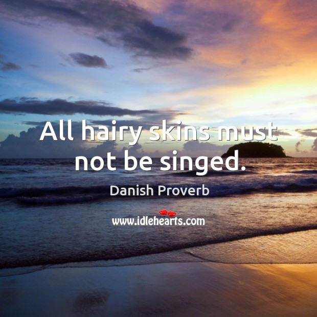 All hairy skins must not be singed. Danish Proverbs Image