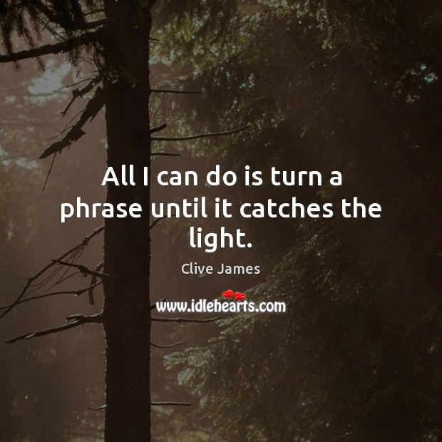 All I can do is turn a phrase until it catches the light. Clive James Picture Quote