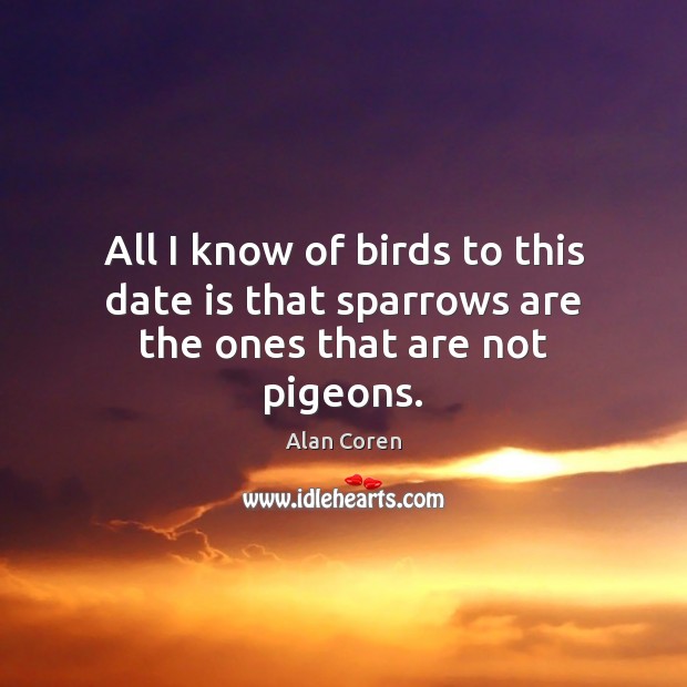 All I know of birds to this date is that sparrows are the ones that are not pigeons. Alan Coren Picture Quote