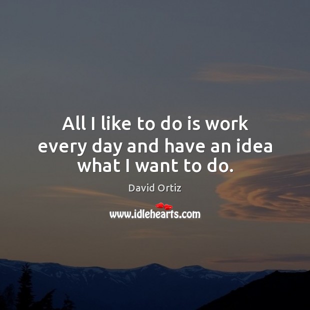 All I like to do is work every day and have an idea what I want to do. David Ortiz Picture Quote