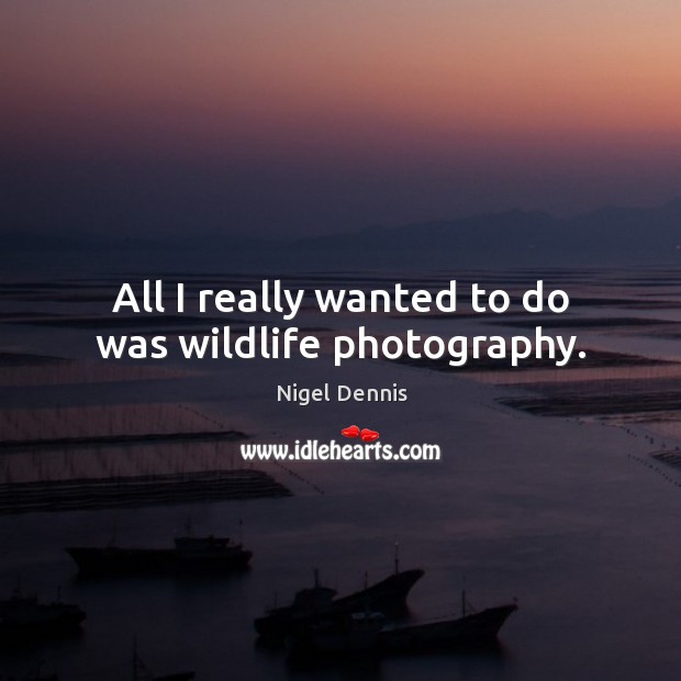 All I really wanted to do was wildlife photography. Nigel Dennis Picture Quote