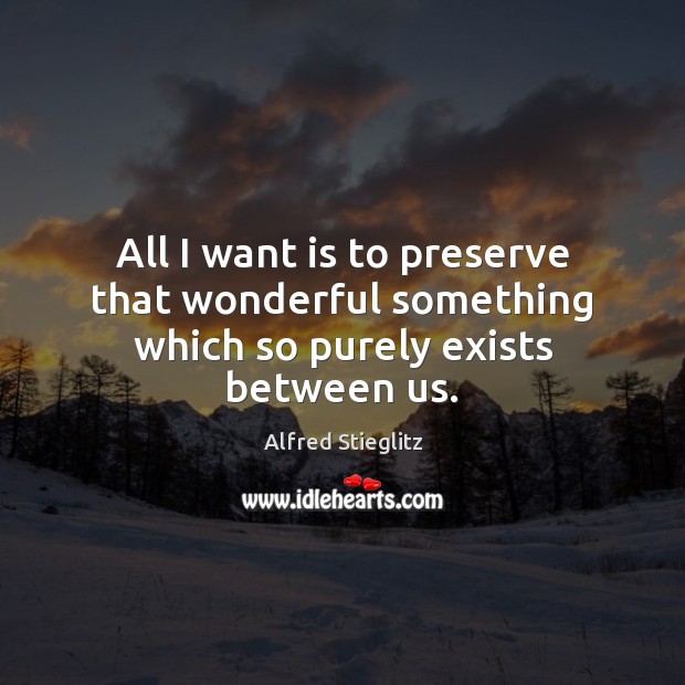 All I want is to preserve that wonderful something which so purely exists between us. Alfred Stieglitz Picture Quote