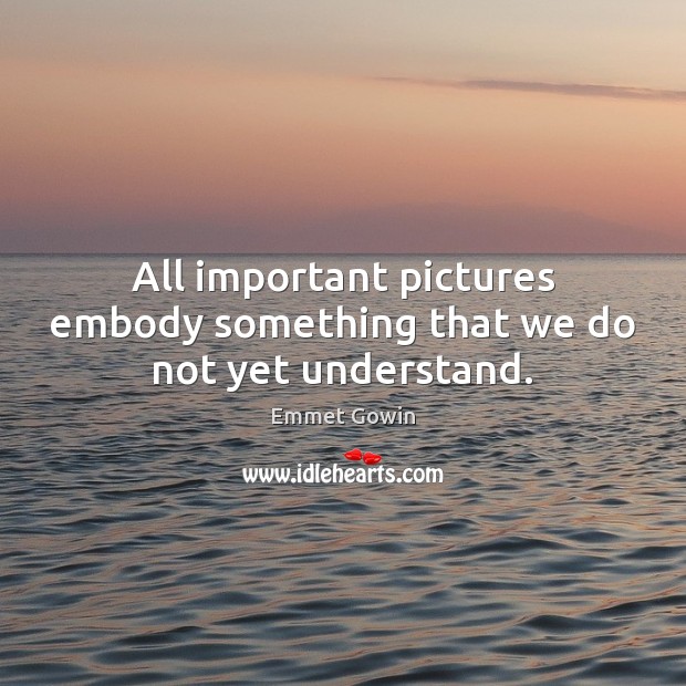 All important pictures embody something that we do not yet understand. Emmet Gowin Picture Quote