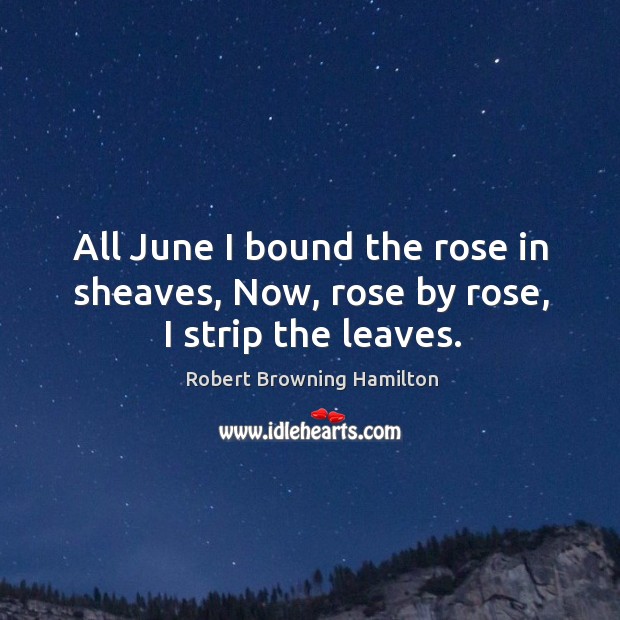 All june I bound the rose in sheaves, now, rose by rose, I strip the leaves. Robert Browning Hamilton Picture Quote