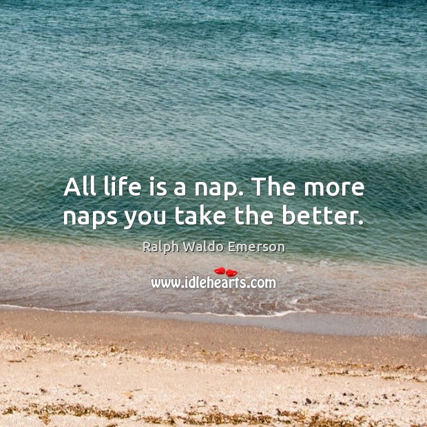 All life is a nap. The more naps you take the better. Image